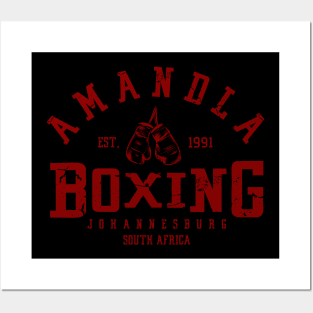 Amandla Boxing 3.0 Posters and Art